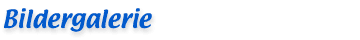 Bildergalerie