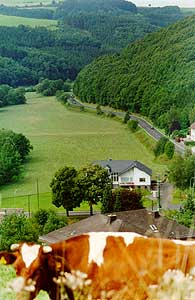 Natur-Pur